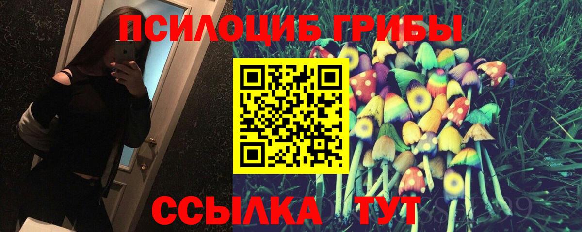 Галлюциногенные грибы GOLDEN TEACHER Сальск